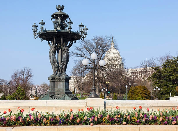 Fountain with flowers in front. featuring the capital building in the background